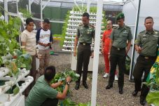 Hasil Menanam 5 Bulan,...