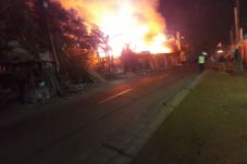 Si Jago Merah Mengamuk...