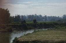 Wartawan BBC di Rakhine:...