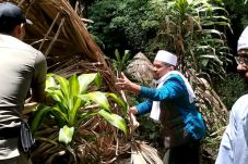 Ratusan Gubuk Mesra...