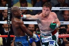 Canelo Bernazar Bakal...