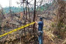 Bakar Hutan, Warga Bungo...