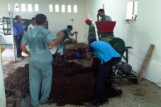 Green Waste, Konsep...