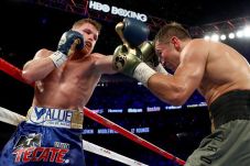 Promotor Golovkin Buka...