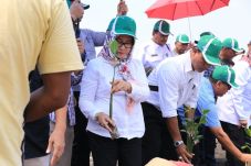PT AP II Tanam 4.000...