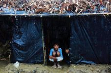 Ribuan Muslim Rohingya...