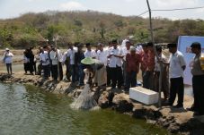 Program Kawasan Vanamei...