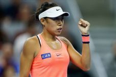 Bekuk Krunic, Zhang...