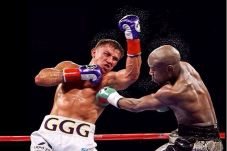 Promotor Golovkin Ledek...