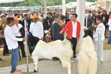 Jokowi Hadiahkan Tiga...