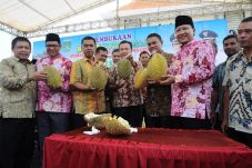 Nikmati Legitnya Durian...