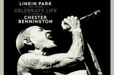 Blink-182 Ikut Konser...