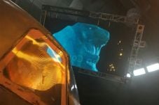 Ini Penampakan Godzilla...