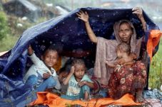 PBB: Pengungsi Rohingya...