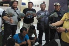 Sindikat SIM Palsu Dibongkar,...