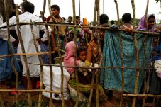 PBB: Pengungsi Rohingya...