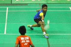 Bibit Muda Mulai Terlihat