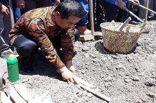Mentan Tanam Perdana...