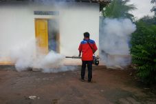 Seorang Warga Kena DBD,...