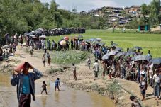 Krisis Rohingya, Program...