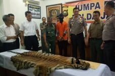 Polda Jambi Ringkus...