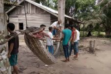 Duel Piton 7 Meter vs...