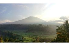 Aktivitas Naik Terus,...