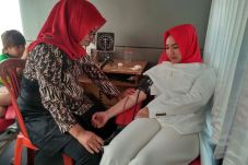 HUT Perindo ke-3, DPD...