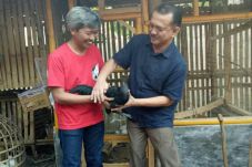 Pegiat Budidaya Ayam...