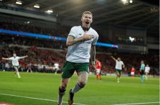 Republik Irlandia Lolos...