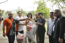 Kirim Pakan Sapi, JAPFA...