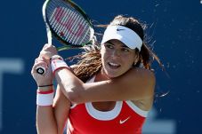 Tomljanovic Berupaya...