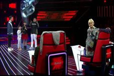 Coaches The Voice Kids...