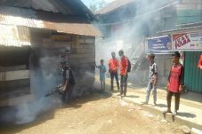 Perindo Fogging dan...