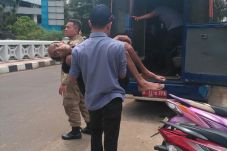 Tak Bisa Bangun, Sudinsos...