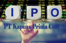 Saham Perdana ZINC Dibuka...