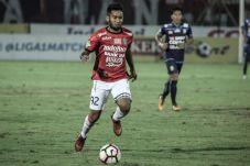 Jelang Persiba vs Bali...
