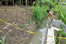 Epilepsi Kambuh, Poniman...