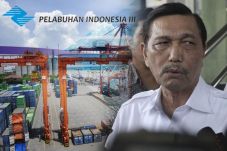 Luhut: Ajak Swasta Kelola...