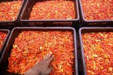 Kemendag Pastikan Harga...