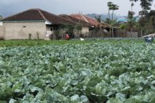 Musim Hujan, Warga dan...