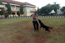 Unit K9 Polres Pekalongan,...