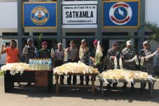 TNI AL Kembali Gagalkan...