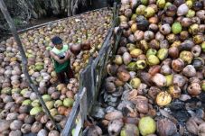 Sumatra Selatan Butuh...
