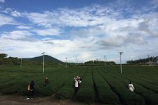 Kosmetika Korea Selatan...