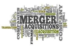 Reporting Before Mergers...