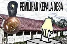 Dampak Pilkada Serentak,...