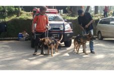 2 Anjing Pelacak Diterjunkan...