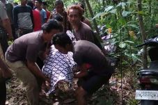 Pamit Mencari Ikan,...