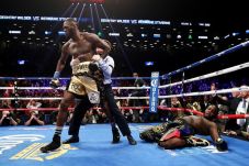 Wilder Ingin Buktikan...